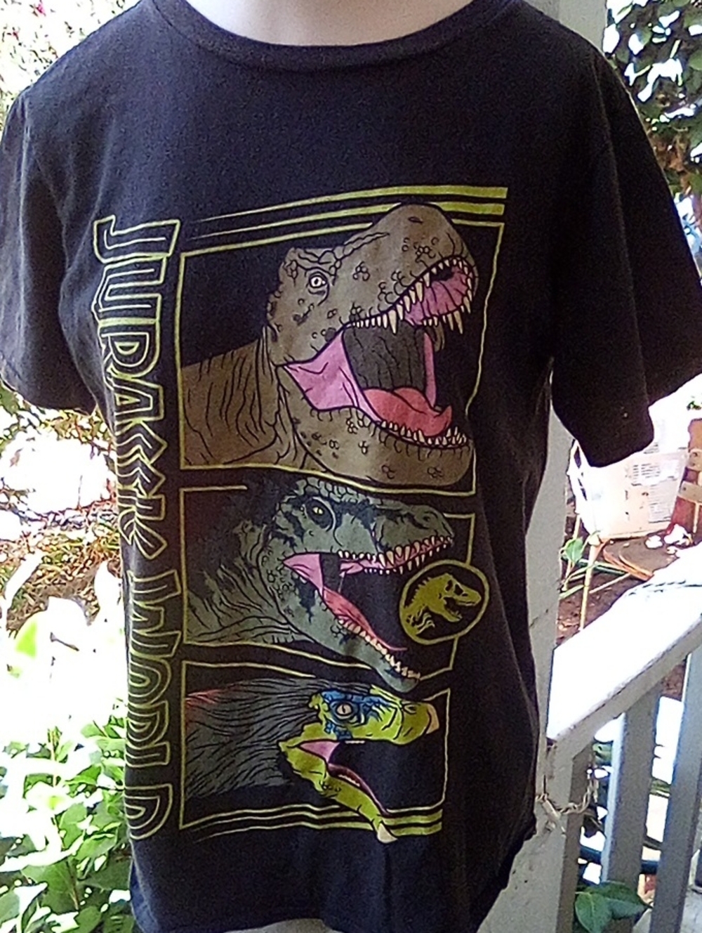 Jurassic World Black Short Sleeve Graphic Tee